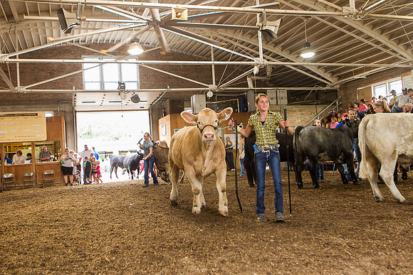 Photograph of Rock County 4-H Fair Taken 7-26-12