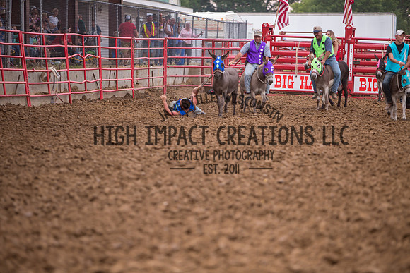 Ogle County Fair Rodeo | Big Hat Rodeo