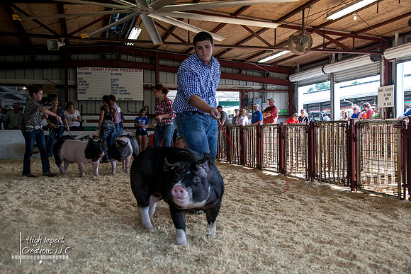 Janesville Photographers Rock County 4-H Fair Photographs
