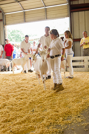 Photograph of Rock County 4-H Fair Taken 7-26-12