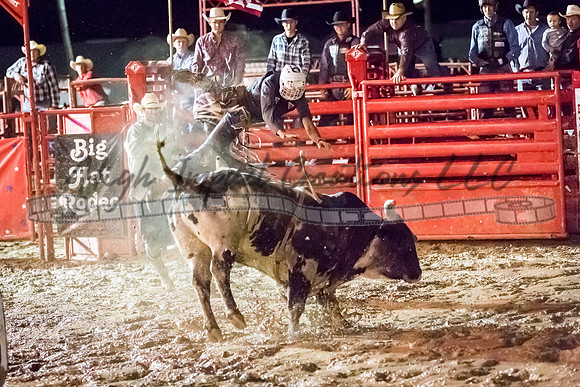 Elkhorn