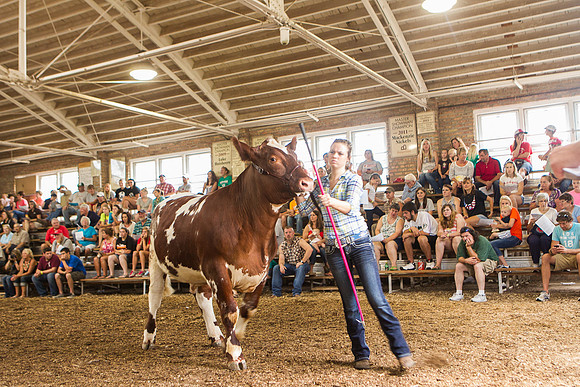 Photograph of Rock County 4-H Fair Taken 7-26-12