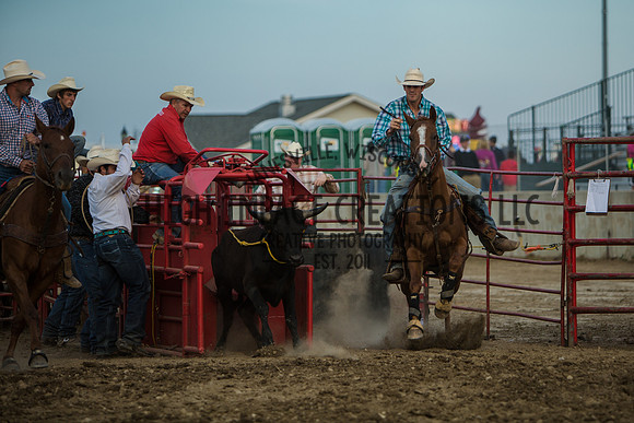 Big Hat Rodeo | Grayslake Rodeo | Lake County Fair
