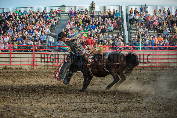 Big Hat Rodeo | Grayslake Rodeo | Lake County Fair