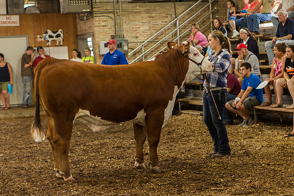 Photograph of Rock County 4-H Fair Taken 7-26-12