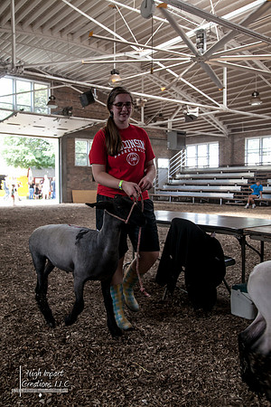 Janesville Photographers Rock County 4-H Fair Photographs