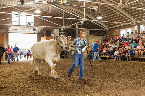 Photograph of Rock County 4-H Fair Taken 7-26-12
