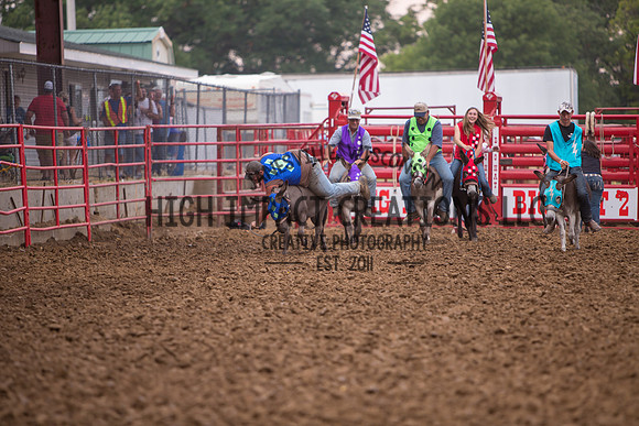 Ogle County Fair Rodeo | Big Hat Rodeo