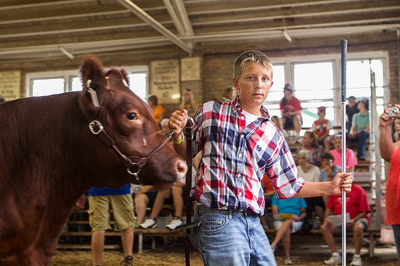 Photograph of Rock County 4-H Fair Taken 7-26-12