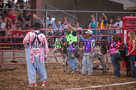 Ogle County Fair Rodeo | Big Hat Rodeo