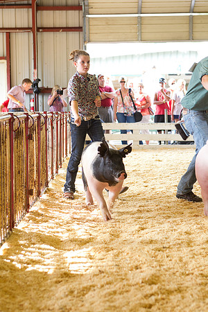 Janesville Photographers Rock County 4-H Fair Photographs