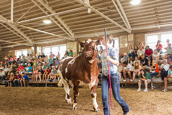 Photograph of Rock County 4-H Fair Taken 7-26-12
