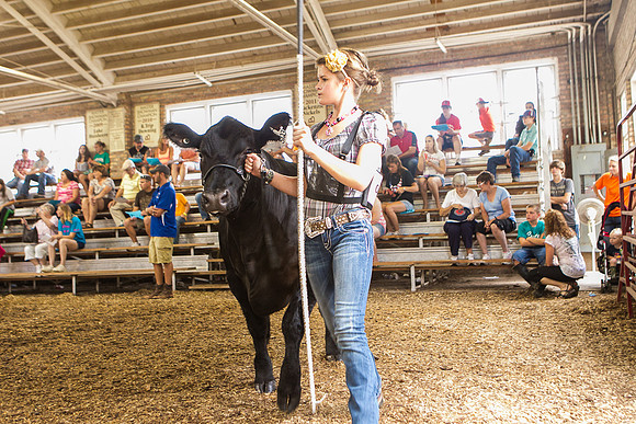 Photograph of Rock County 4-H Fair Taken 7-26-12