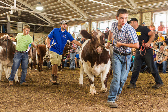Photograph of Rock County 4-H Fair Taken 7-26-12