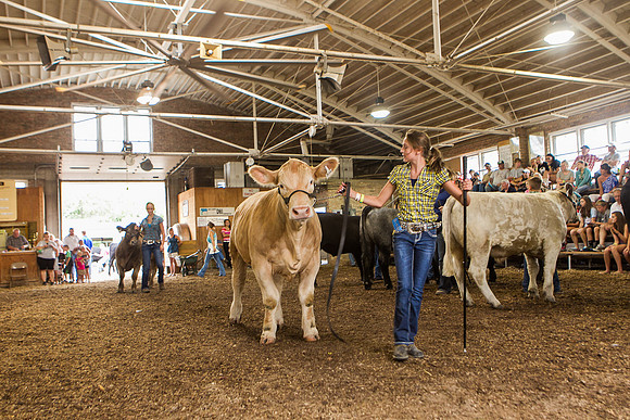 Photograph of Rock County 4-H Fair Taken 7-26-12