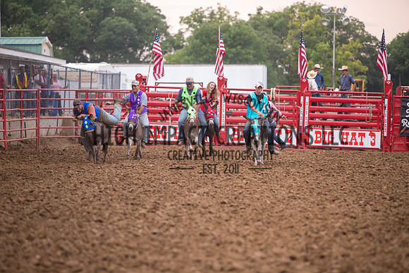 Ogle County Fair Rodeo | Big Hat Rodeo