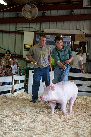 Janesville Photographers Rock County 4-H Fair Photographs