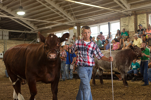 Photograph of Rock County 4-H Fair Taken 7-26-12