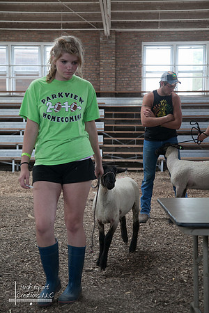 Janesville Photographers Rock County 4-H Fair Photographs
