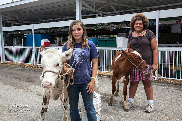 Janesville Photographers Rock County 4-H Fair Photographs