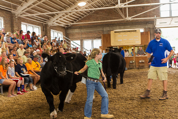 Photograph of Rock County 4-H Fair Taken 7-26-12