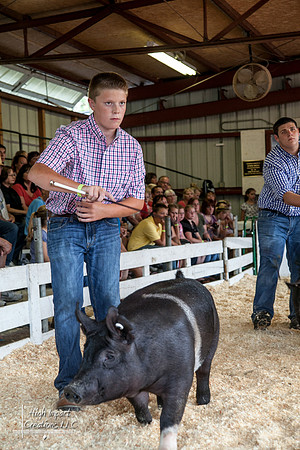 Janesville Photographers Rock County 4-H Fair Photographs