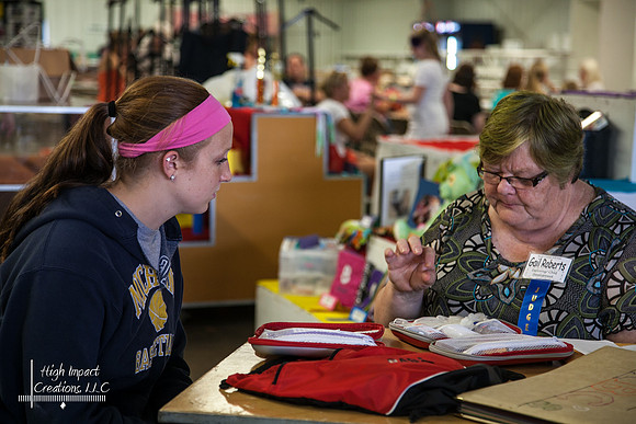 Janesville Photographers Rock County 4-H Fair Photographs