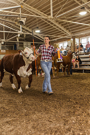 Photograph of Rock County 4-H Fair Taken 7-26-12