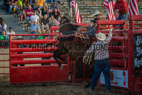Big Hat Rodeo | Grayslake Rodeo | Lake County Fair