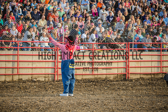 Big Hat Rodeo | Grayslake Rodeo | Lake County Fair