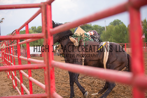 Ogle County Fair Rodeo | Big Hat Rodeo