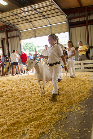Photograph of Rock County 4-H Fair Taken 7-26-12