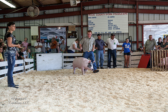Janesville Photographers Rock County 4-H Fair Photographs