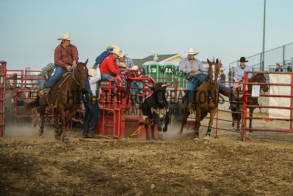 Big Hat Rodeo | Grayslake Rodeo | Lake County Fair
