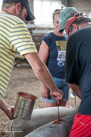 Janesville Photographers Rock County 4-H Fair Photographs