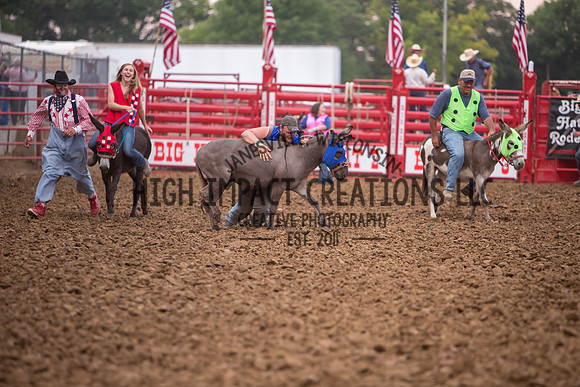 Ogle County Fair Rodeo | Big Hat Rodeo