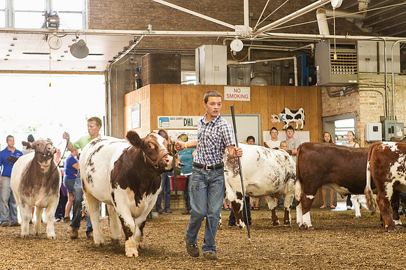 Photograph of Rock County 4-H Fair Taken 7-26-12