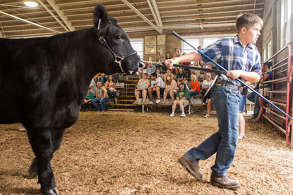 Photograph of Rock County 4-H Fair Taken 7-26-12
