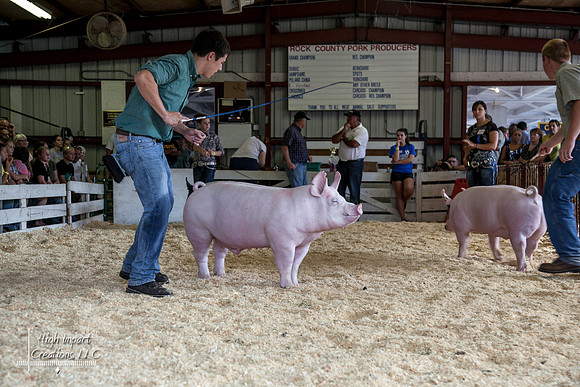 Janesville Photographers Rock County 4-H Fair Photographs