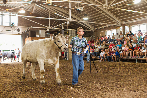 Photograph of Rock County 4-H Fair Taken 7-26-12