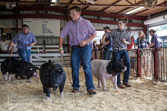 Janesville Photographers Rock County 4-H Fair Photographs