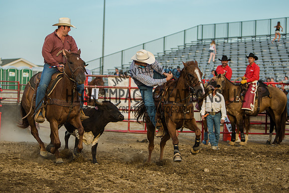 Big Hat Rodeo | Grayslake Rodeo | Lake County Fair