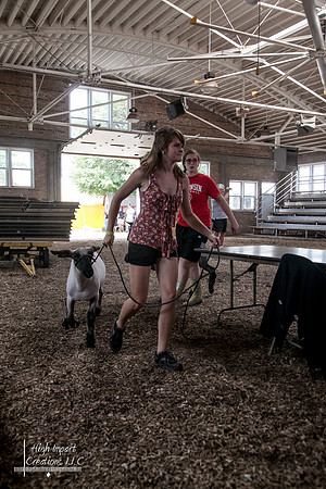 Janesville Photographers Rock County 4-H Fair Photographs