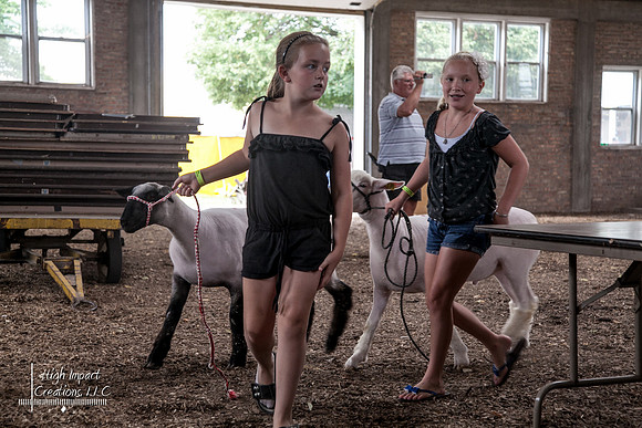 Janesville Photographers Rock County 4-H Fair Photographs