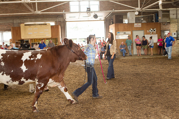 Photograph of Rock County 4-H Fair Taken 7-26-12
