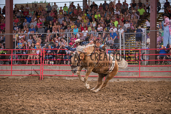 Ogle County Fair Rodeo | Big Hat Rodeo