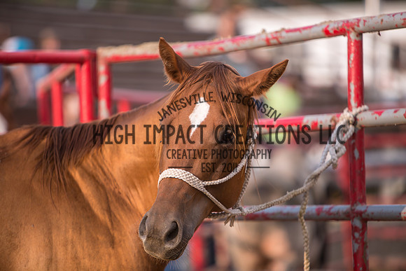 Ogle County Fair Rodeo | Big Hat Rodeo