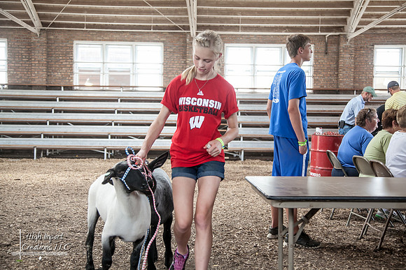 Janesville Photographers Rock County 4-H Fair Photographs