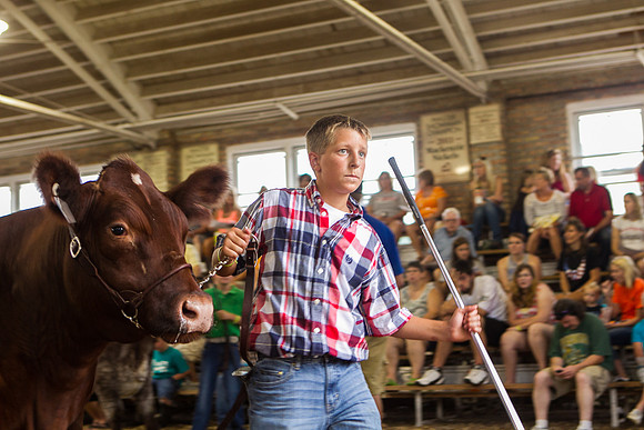 Photograph of Rock County 4-H Fair Taken 7-26-12
