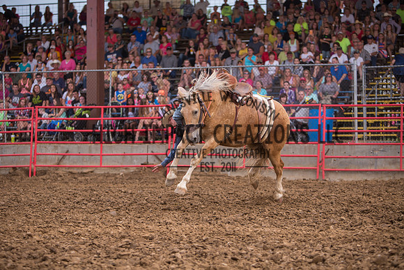 Ogle County Fair Rodeo | Big Hat Rodeo